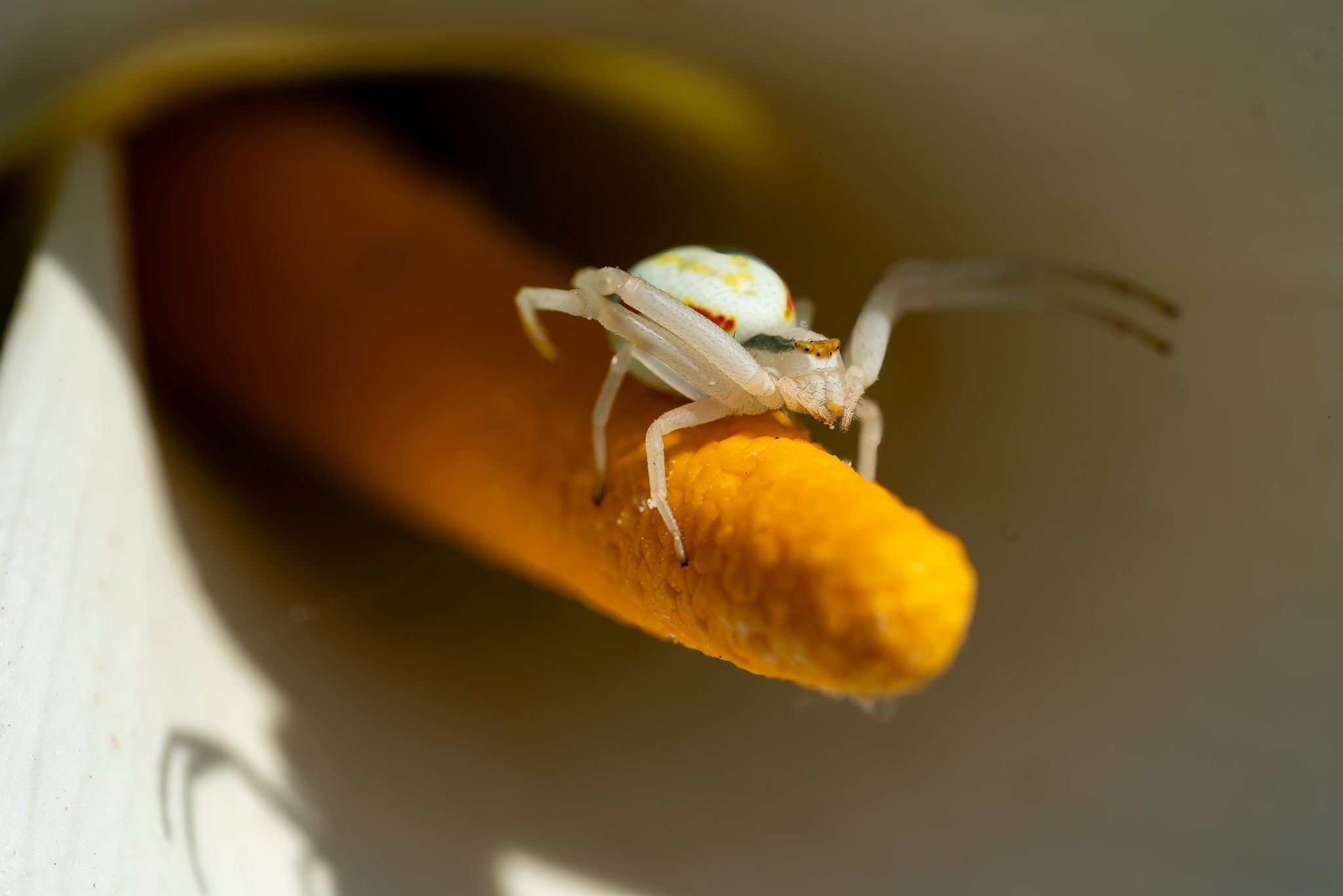 Je reste en équilibre  42X27 sur feuille 46X31